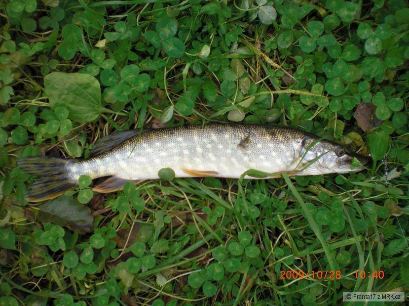 štíhle