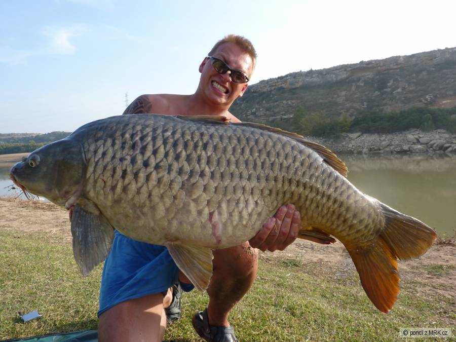 kapr 108 cm - 20,5 kg