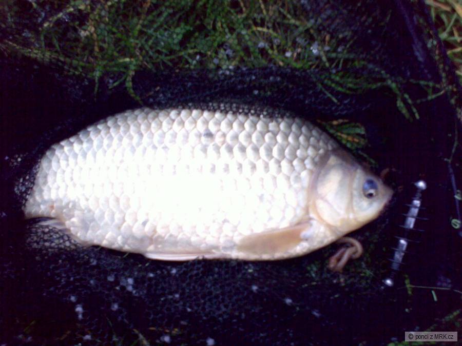 karas 2 kg