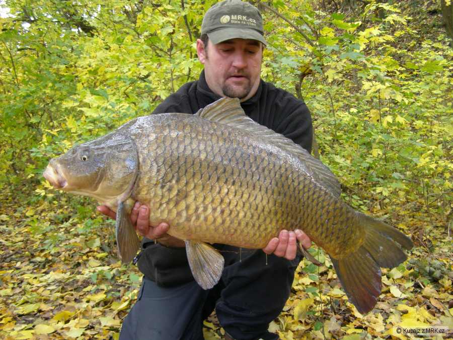 12,5kg,86cm