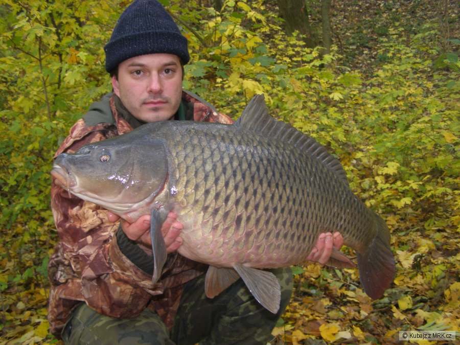 9,5kg