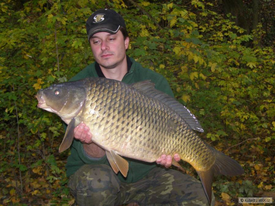 9,2kg