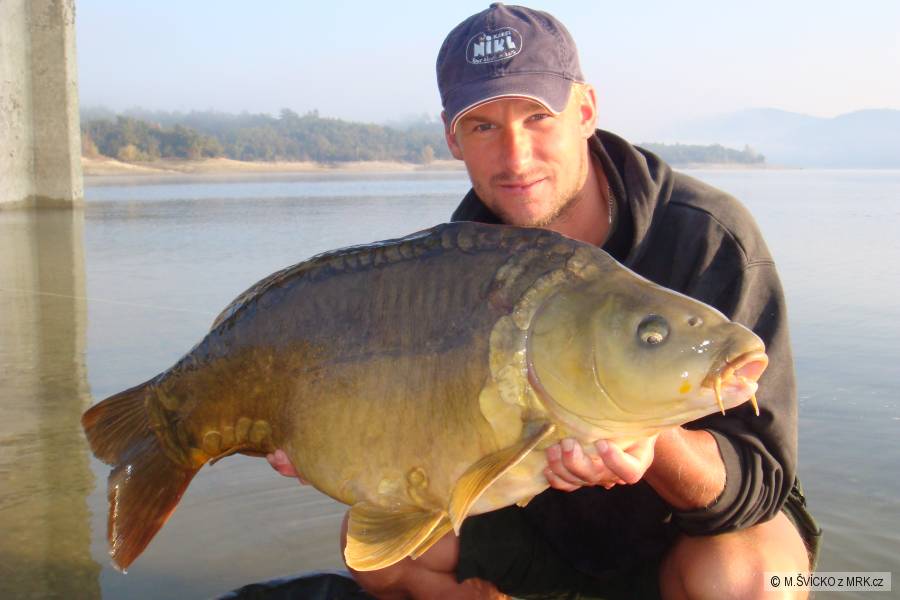 cassien 13,20kg
