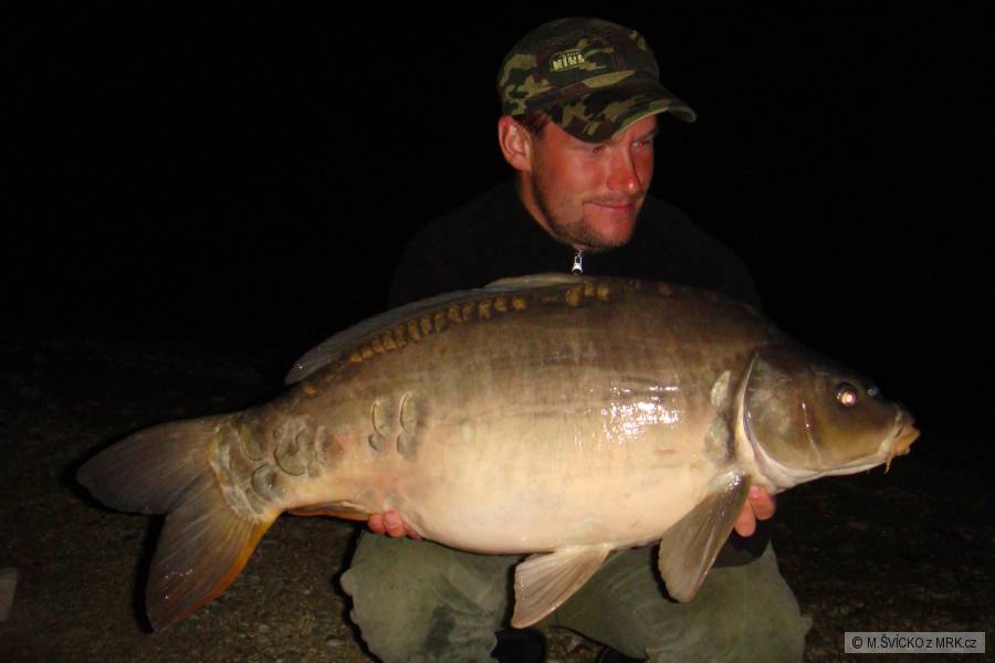 cassien 11,30kg