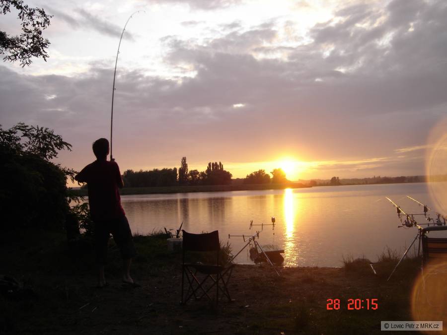 Musov