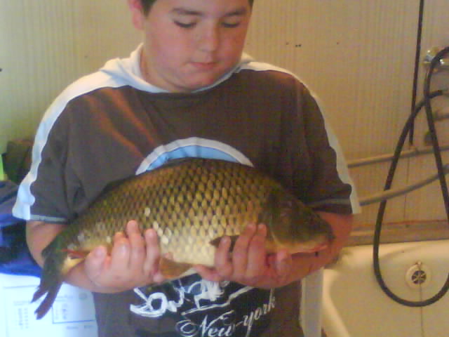 kapr obecný 58 cm