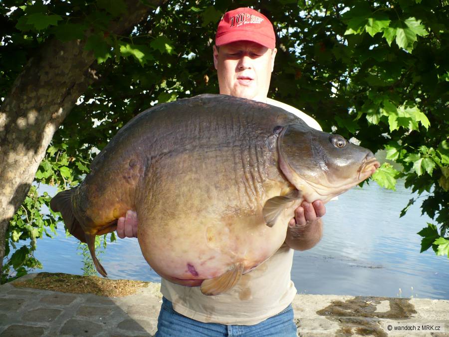 sezona 2008-9