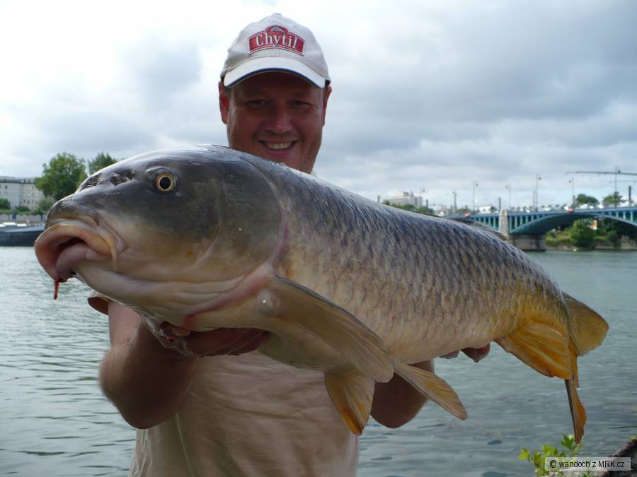 sezona 2008-9