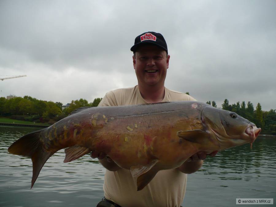 sezona 2008-9