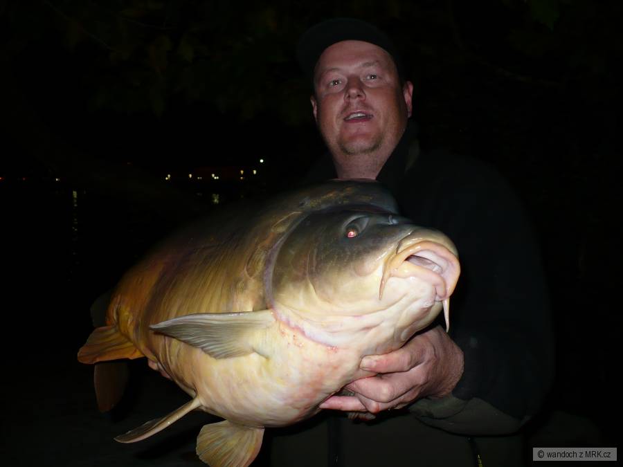 sezona 2008-9