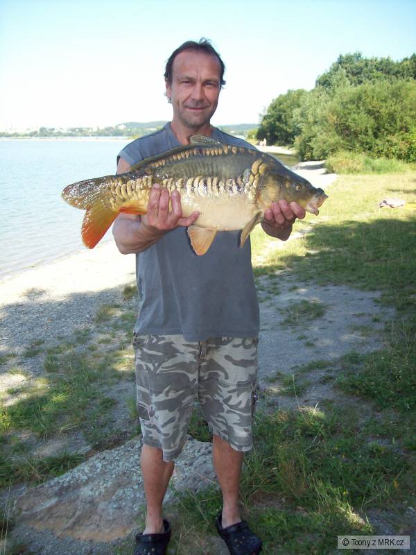 Krasnej kaprik