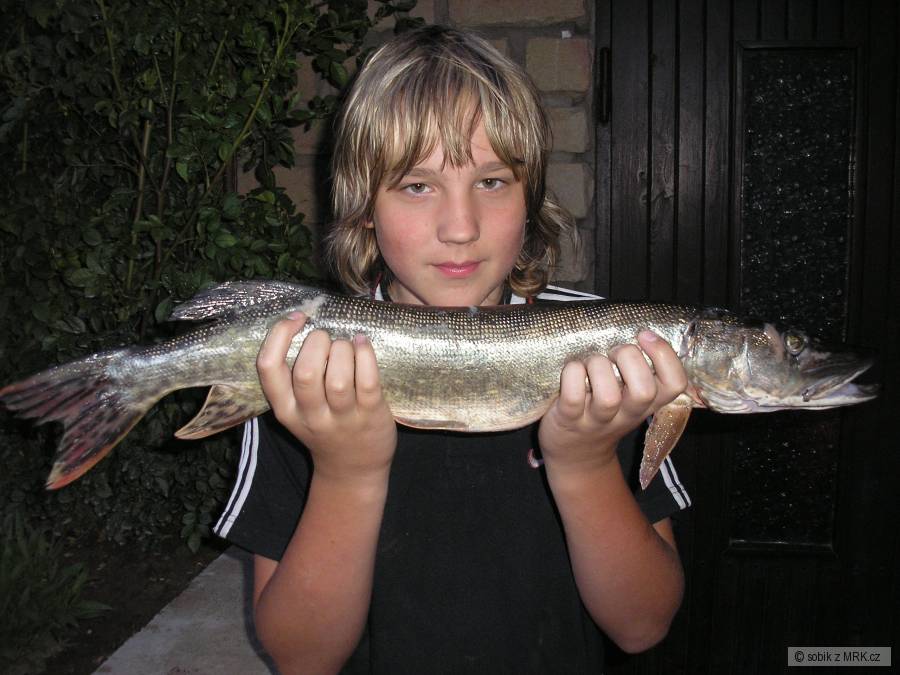 štika 69 cm