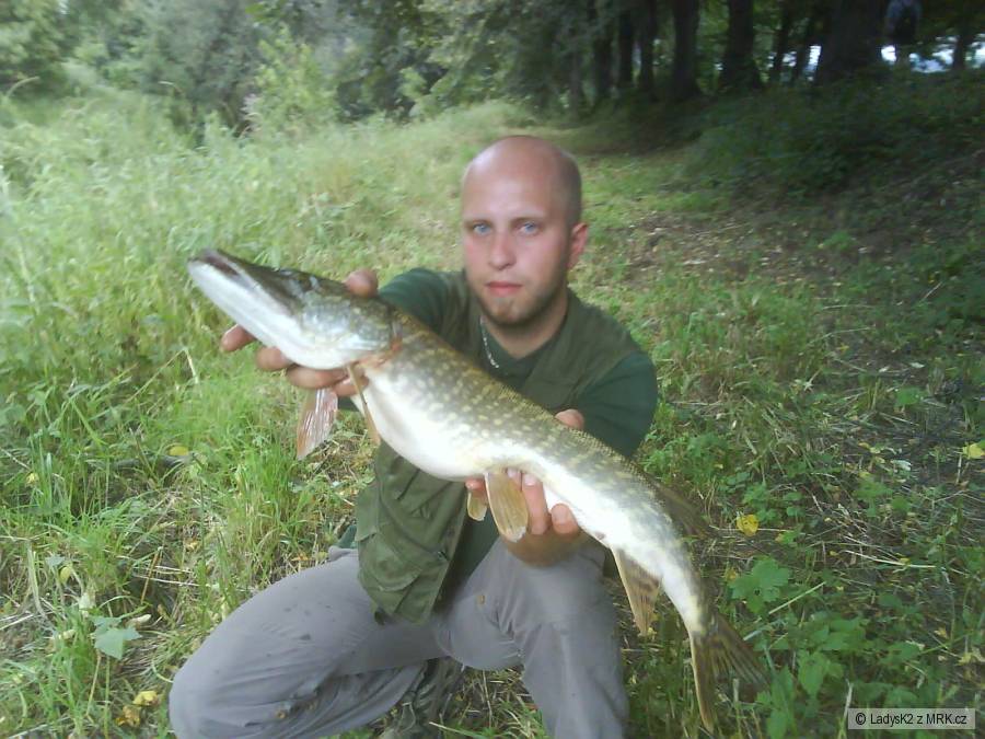 štika75cm od čističky