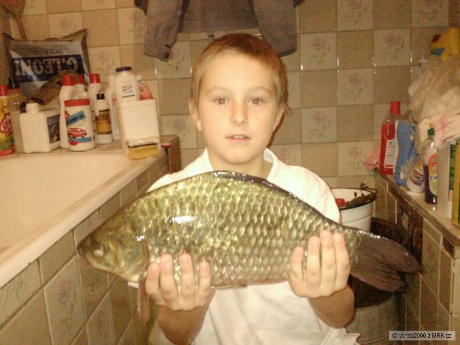 Karas 44 cm