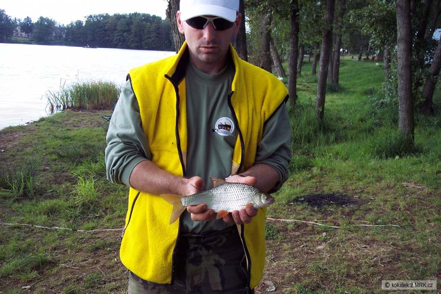 Brodský 2009