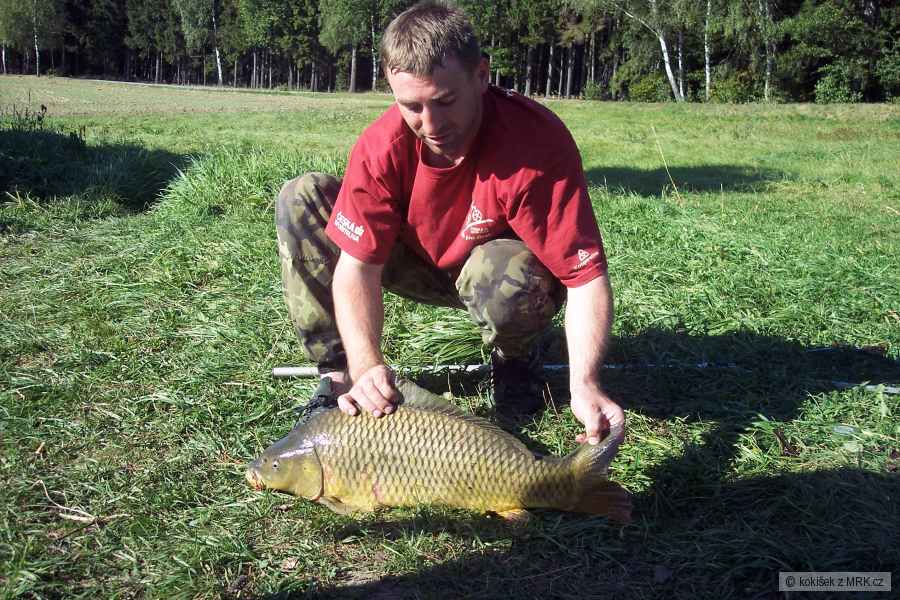 Počátky 2006