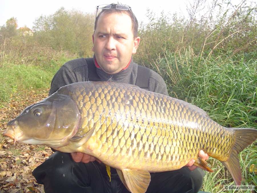 86cm 13.40kg
