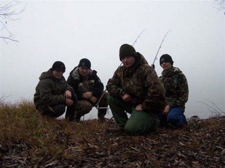 Proficarp team