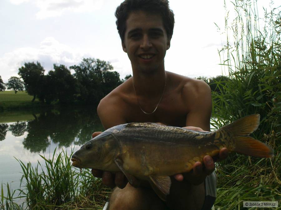 Kuba s kaprem 46cm