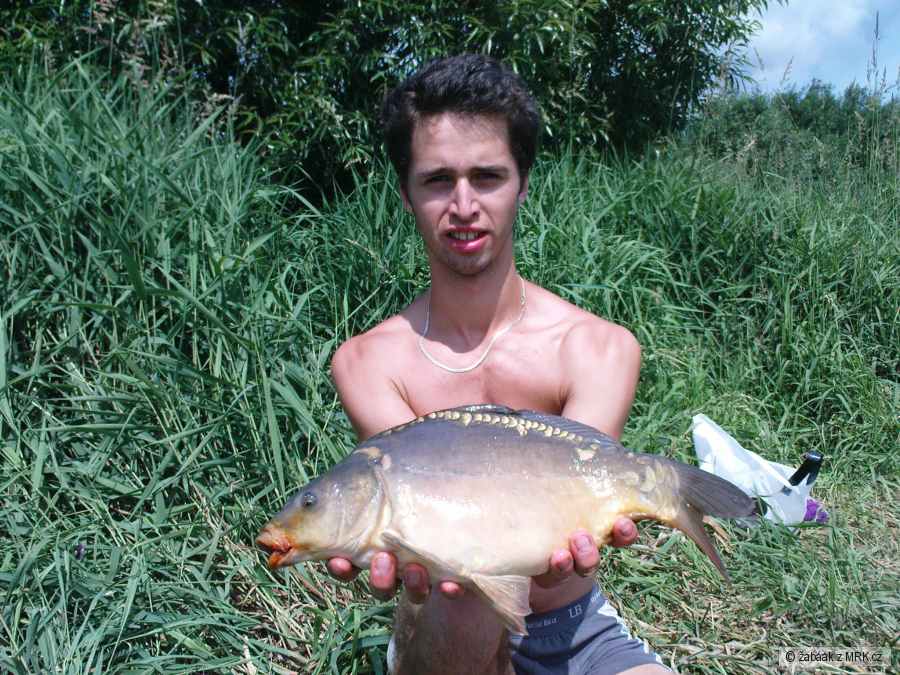Kuba s kaprem 43