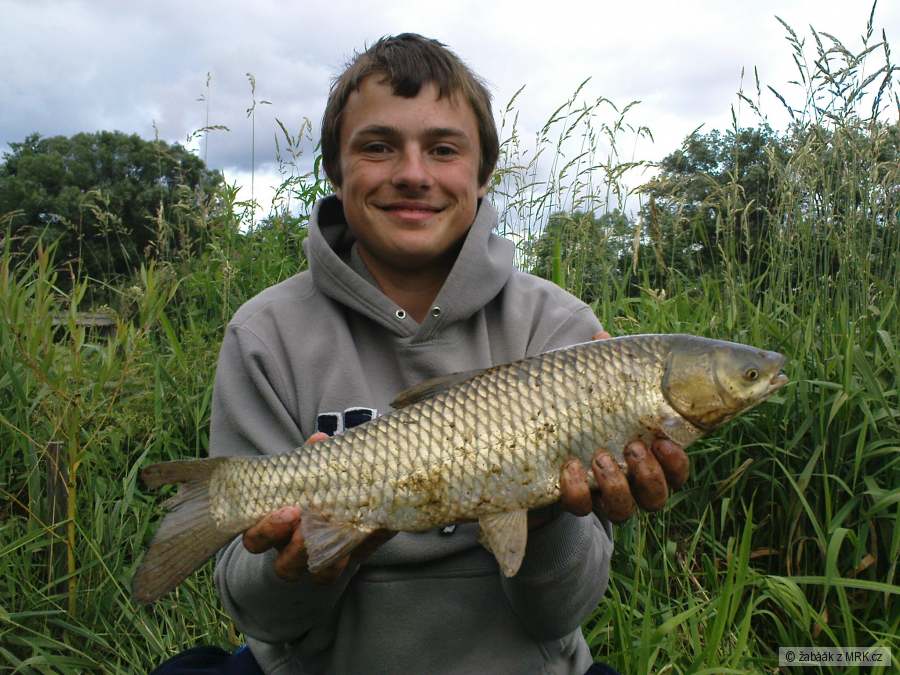 Já s amurem 51cm