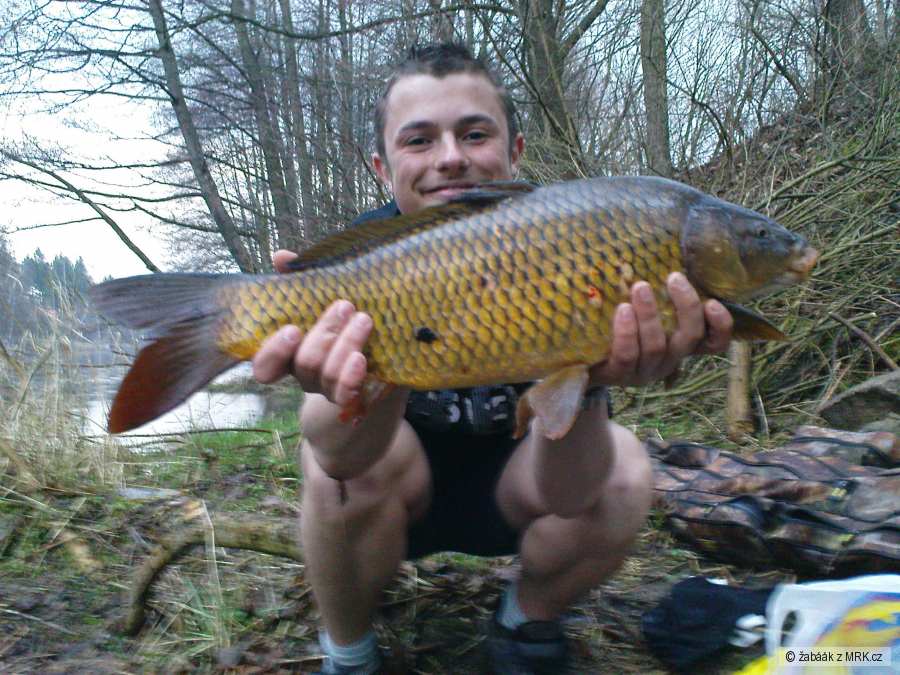 Štika 35cm