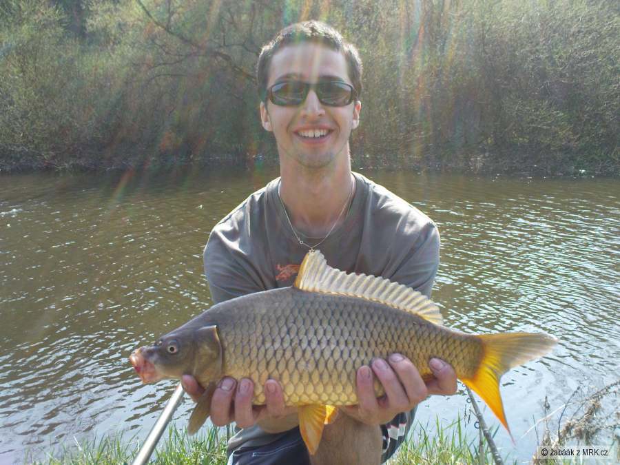Kuba s kaprem 43cm
