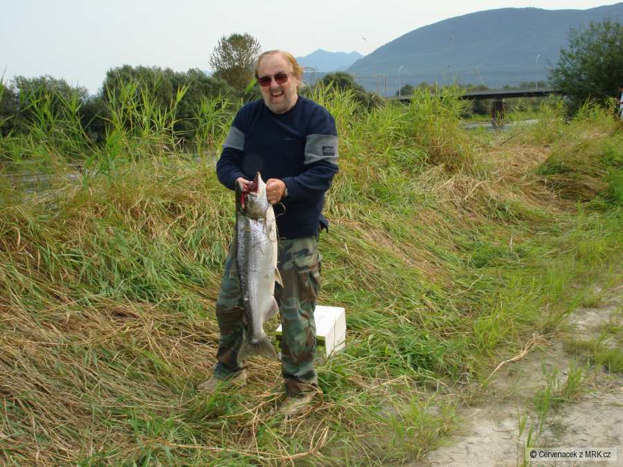 Wedder river 2008