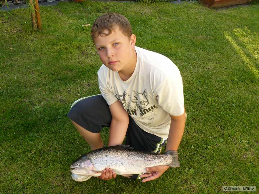Pstruh duhovy 58cm 3,50kg
