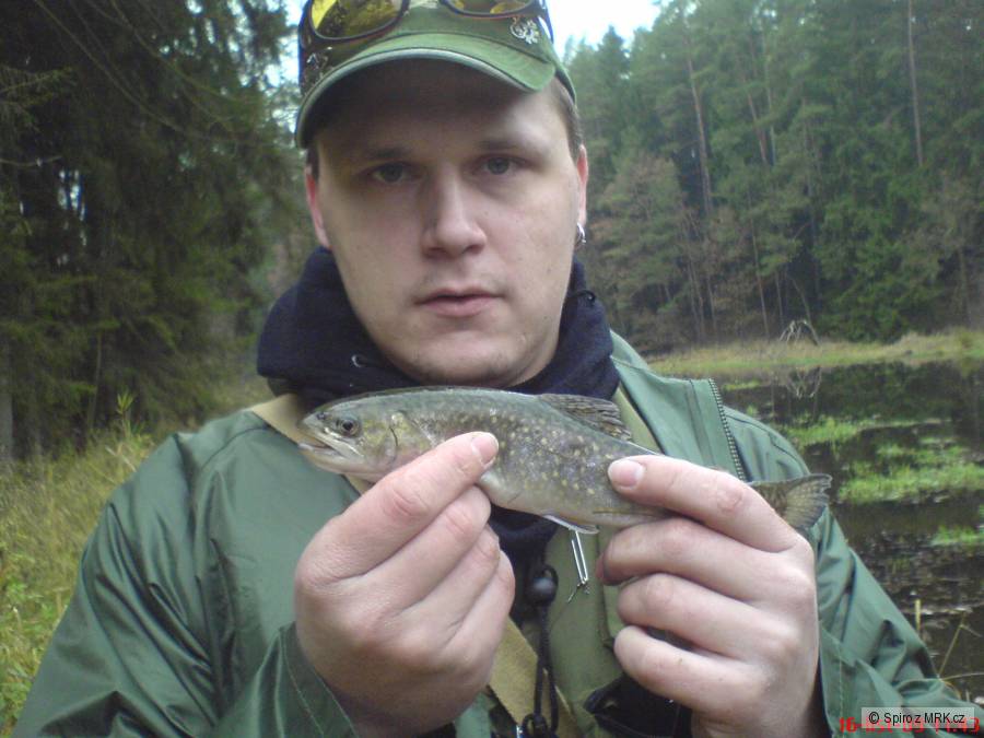 druhý Siven
