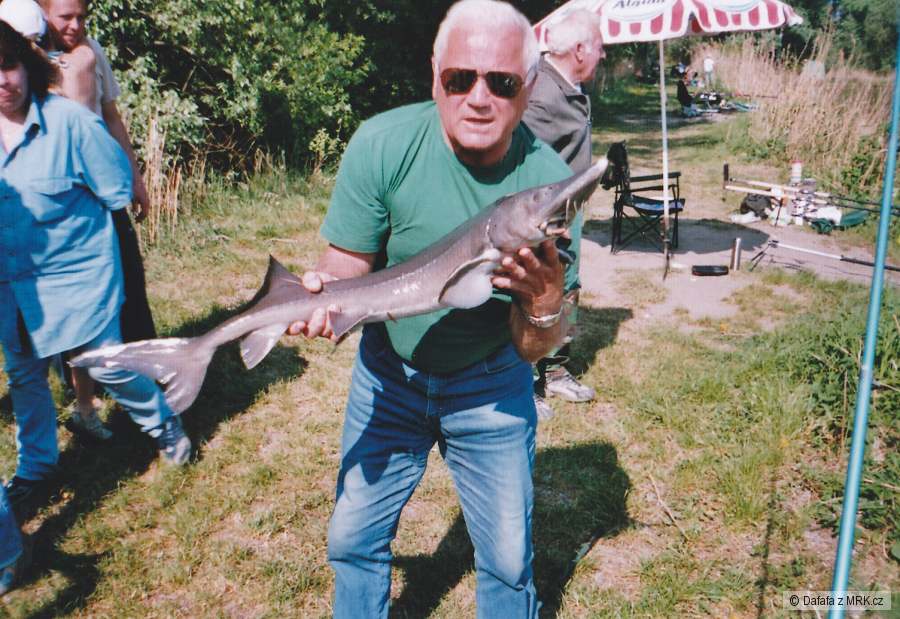 strejda jeseter118cm
