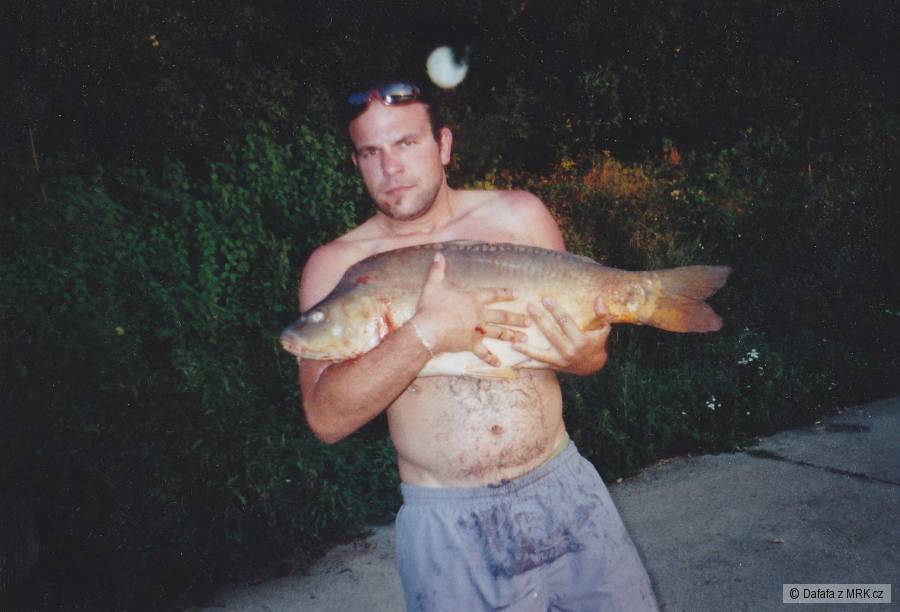 Jestřabicky kapřik 80cm 10.5kg