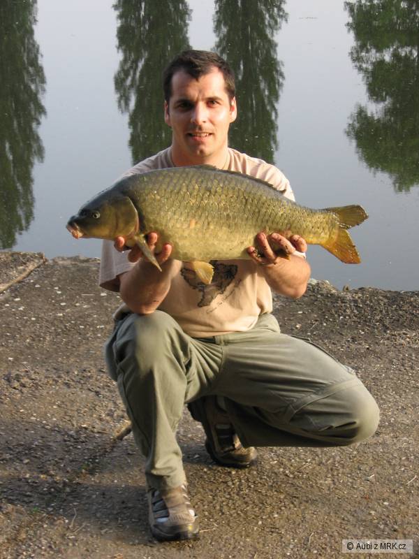 kapr 7kg