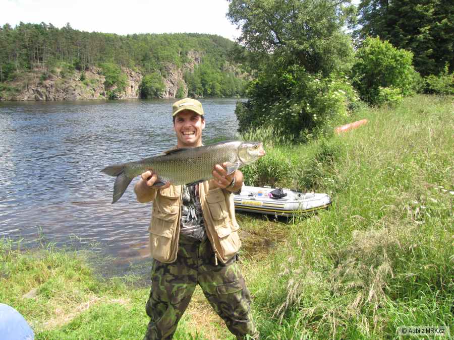 bolen 76cm