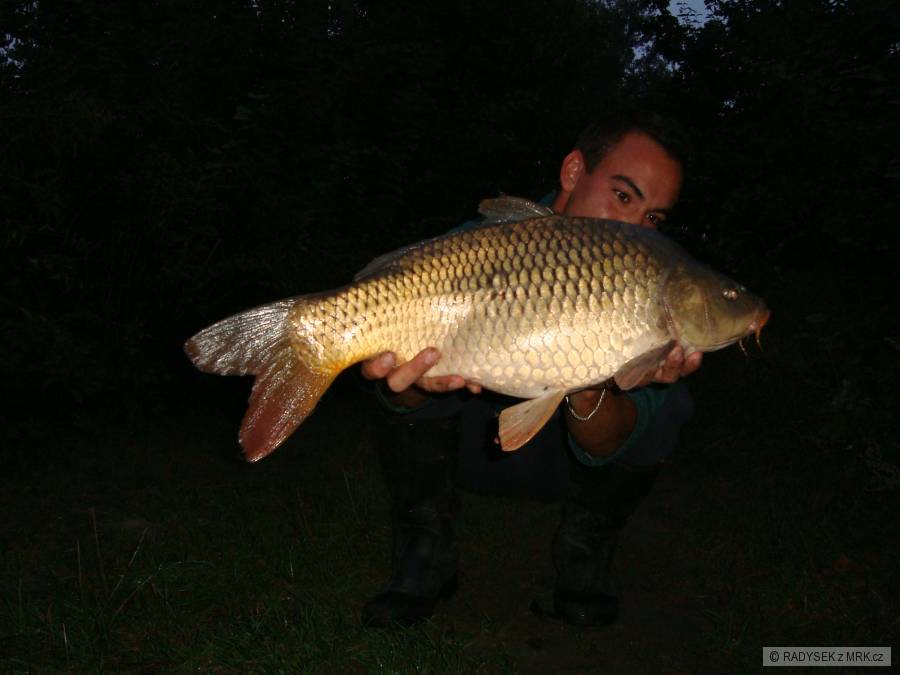 carp