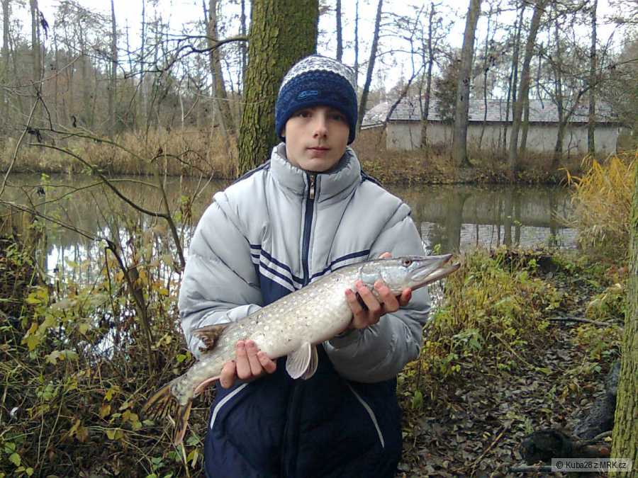 Letos Poslední- 62cm