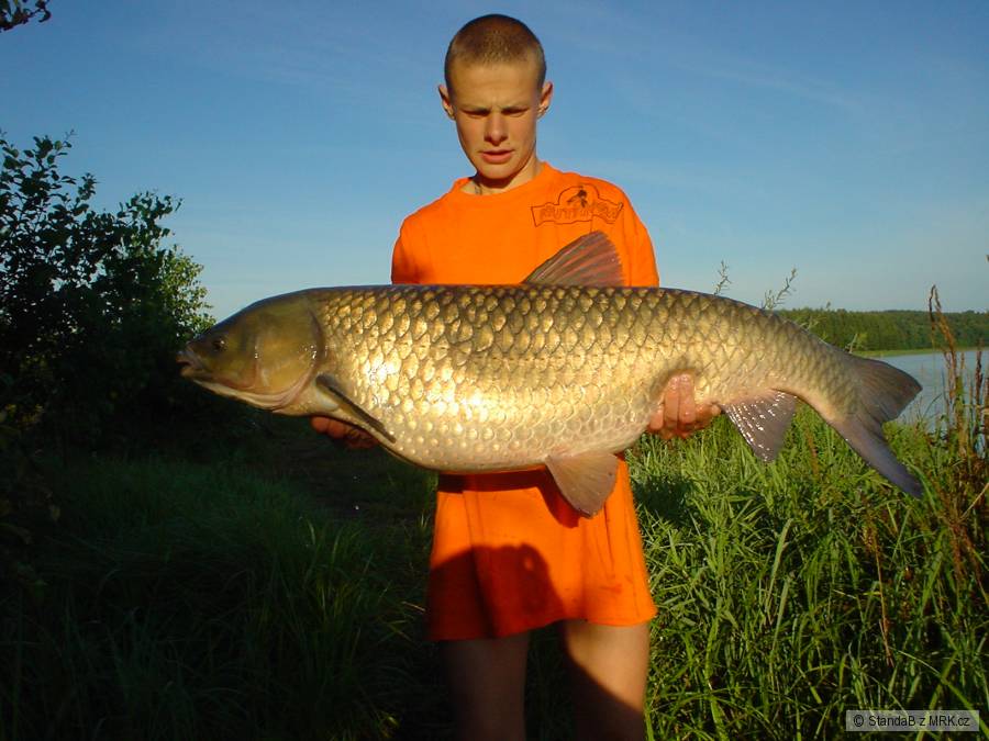 amur 17kg