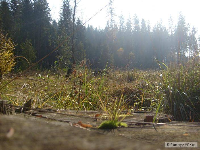 Krajina řeky Moravice