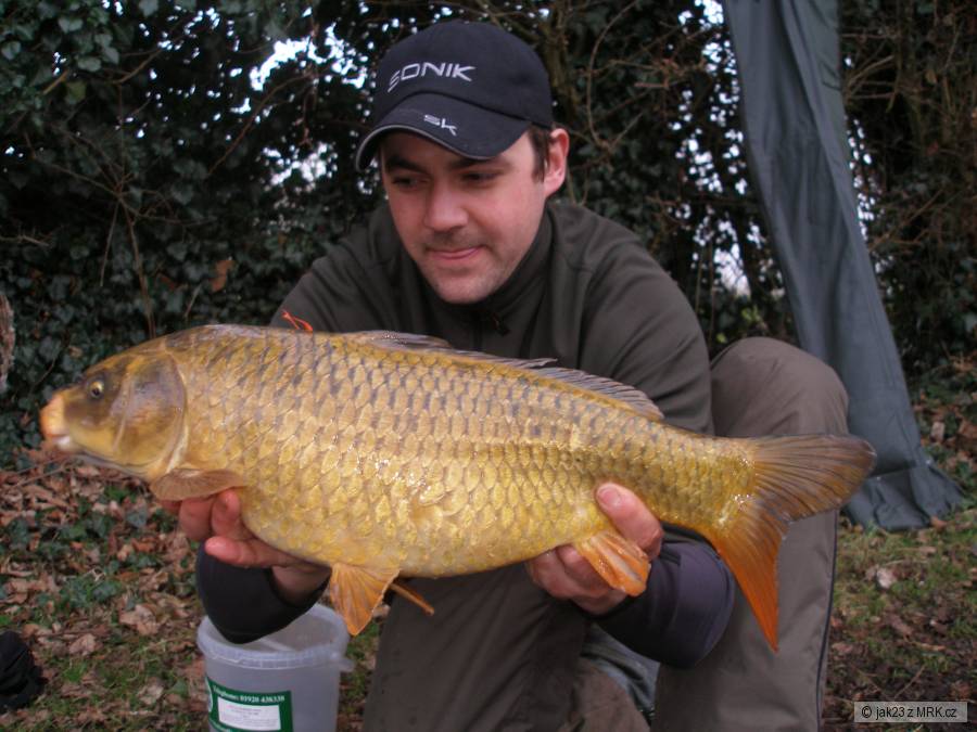 podzimní ghost carp 3,5kg