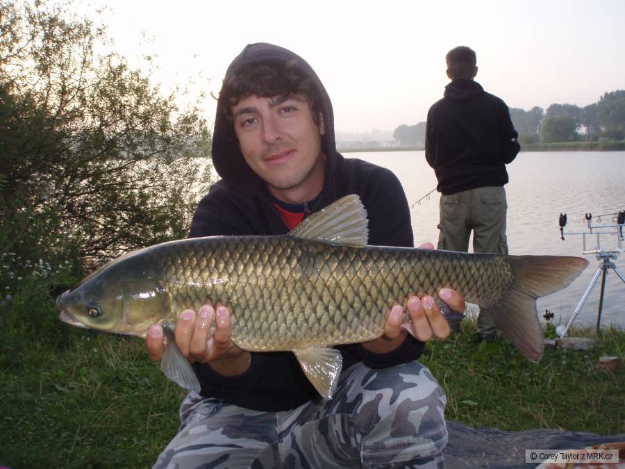 Další torpédo