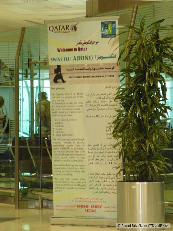 swine flu (Doha/ Qatar)