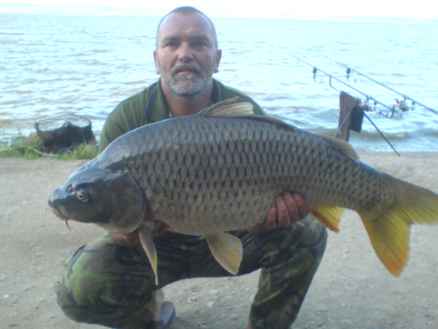kapr 91cm,13kg,