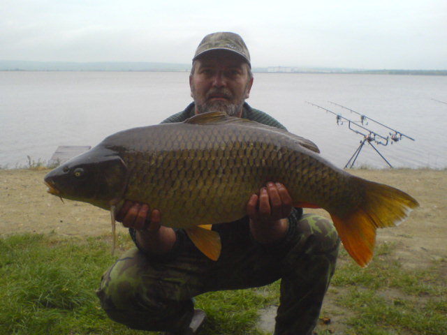 kapr 89cm,12kg