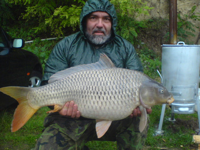 kapr 85cm,10,5kg