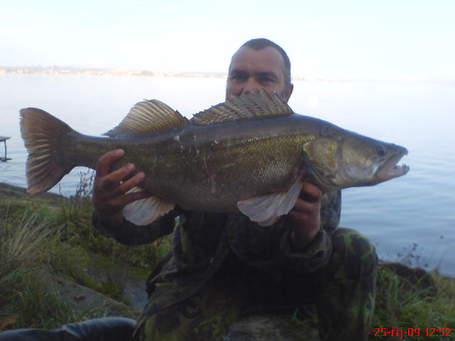 candát 89cm,8kg
