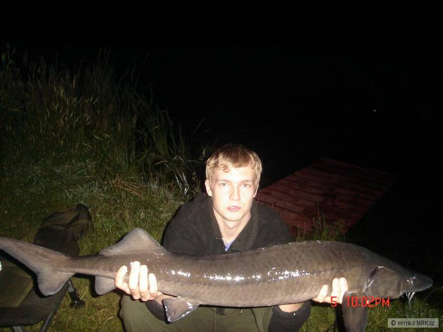 Jeseter 118cm