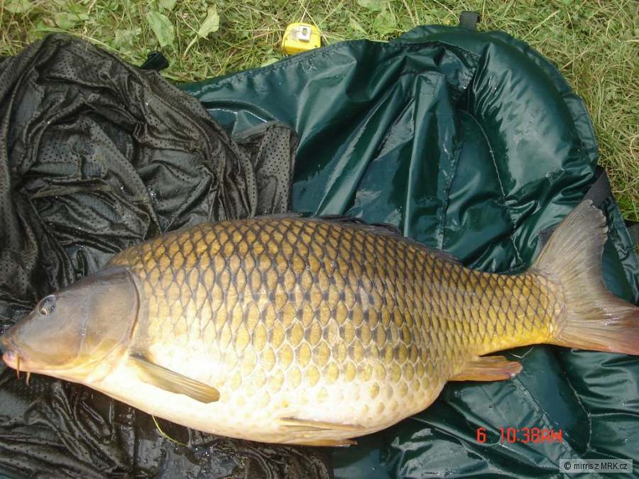 15Kg
