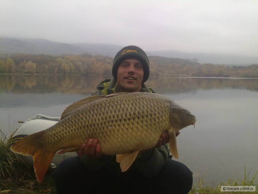 2009 K.šup. 84/10,8