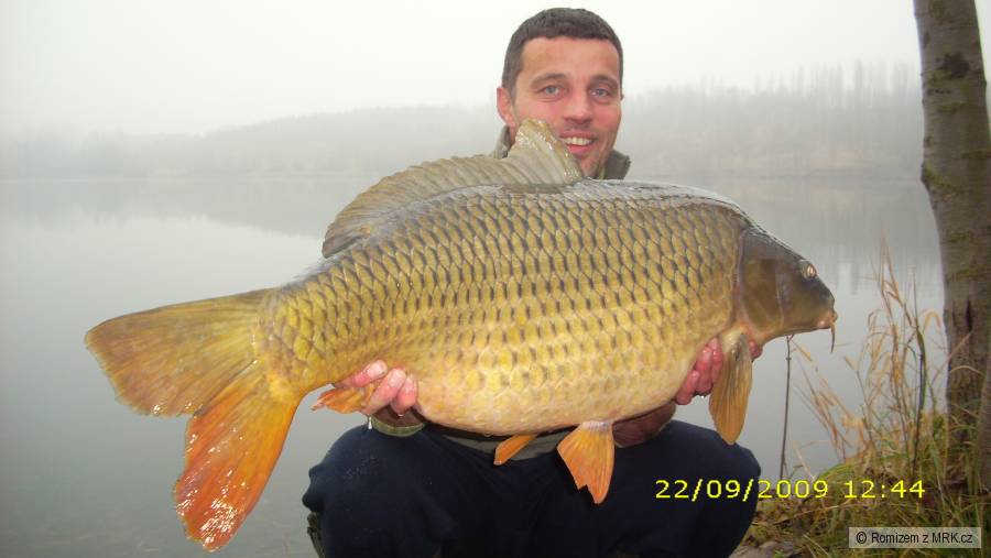 2009 K.šup. 91/15,80