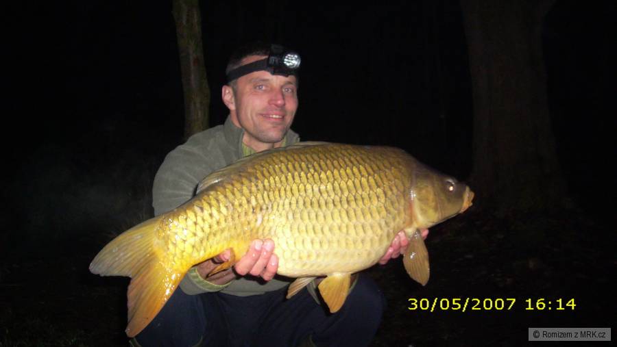 2009 K.šup. 83/10,5